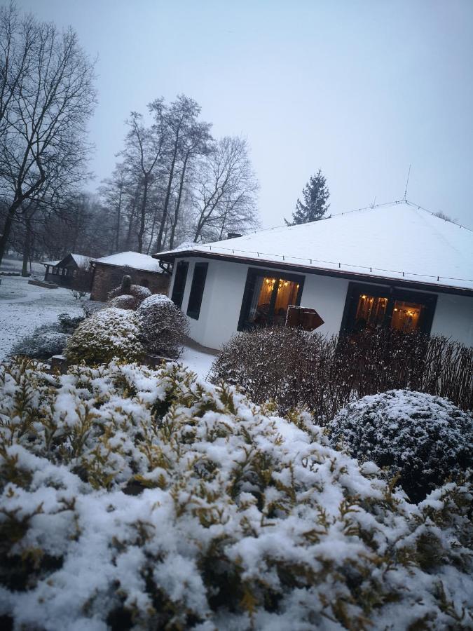 Cyprianowka Villa Warszowice ภายนอก รูปภาพ