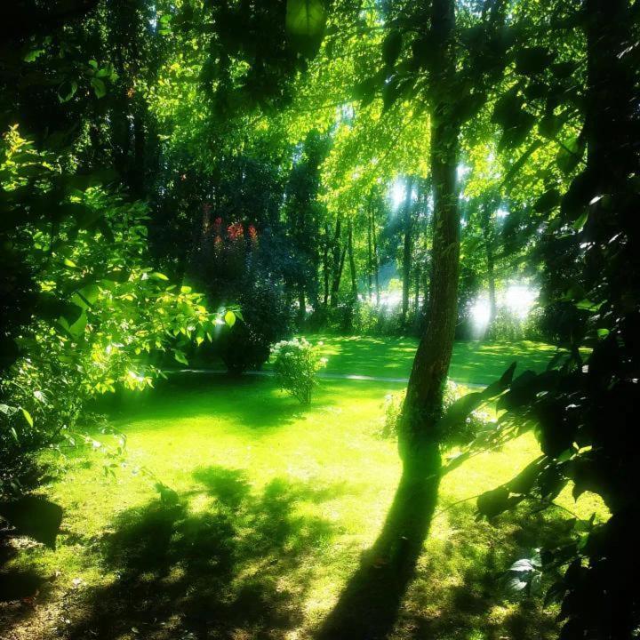 Cyprianowka Villa Warszowice ภายนอก รูปภาพ