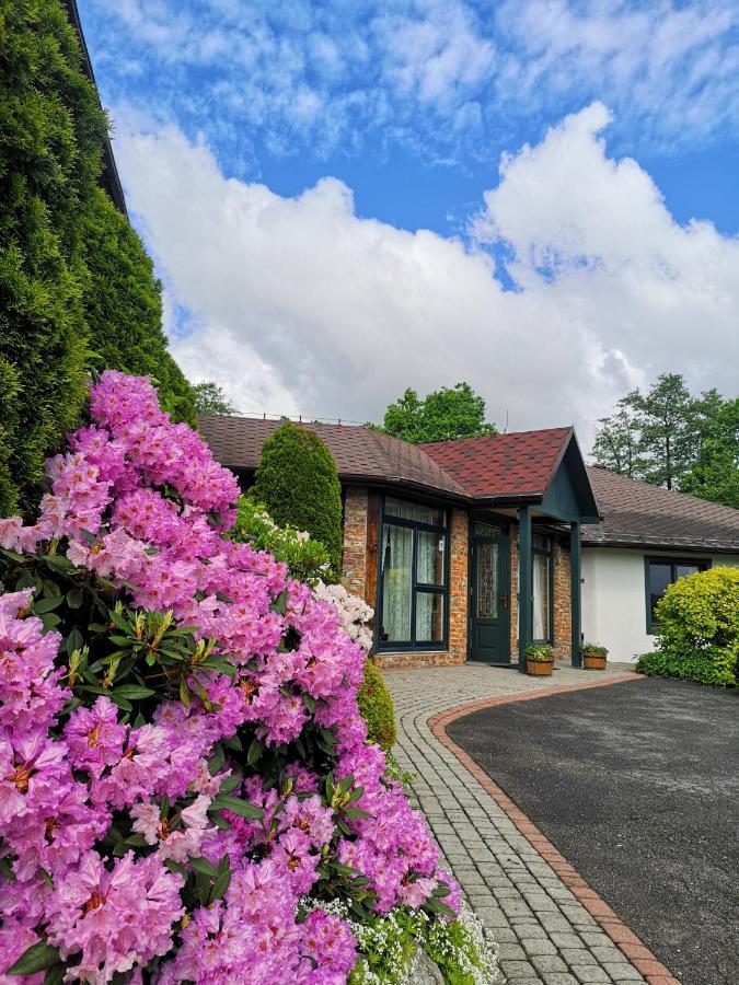 Cyprianowka Villa Warszowice ภายนอก รูปภาพ